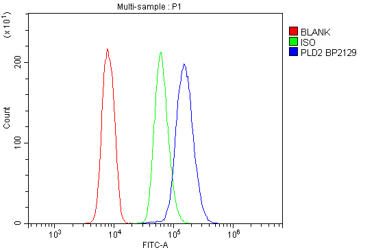 a02586 pld2 primary antibodies fc testing 3