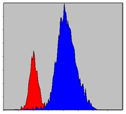 a02598 1 jak3 primary antibodyes fcm testing 3