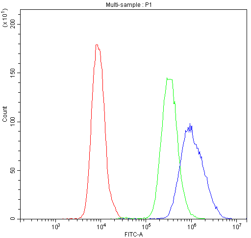 a02599 1 nfatc4 primary antibodies fc testing 2