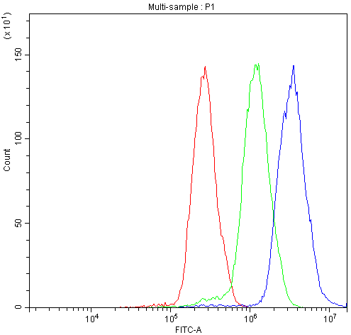 Flow Cytometry analysis of A431 cells using anti-NFATC4 antibody (A02599-1). Overlay histogram showing A431 cells stained with A02599-1 (Blue line).The cells were blocked with 10% normal goat serum. And then incubated with rabbit anti-NFATC4 Antibody (A02599-1,1μg/1x106 cells) for 30 min at 20°C. DyLight®488 conjugated goat anti-rabbit IgG (BA1127, 5-10μg/1x106 cells) was used as secondary antibody for 30 minutes at 20°C. Isotype control antibody (Green line) was rabbit IgG (1μg/1x106) used under the same conditions. Unlabelled sample (Red line) was also used as a control.