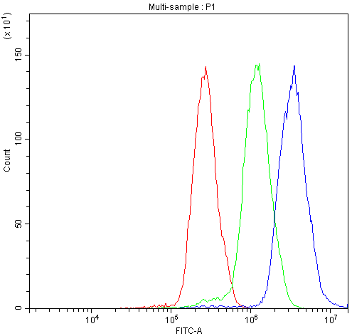 a02599 1 nfatc4 primary antibodies fc testing 3
