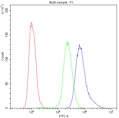 a02599 1 nfatc4 primary antibodies fc testing 4