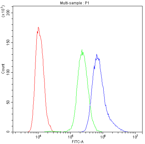 Flow Cytometry analysis of SiHa cells using anti-NFATC4 antibody (A02599-1). Overlay histogram showing SiHa cells stained with A02599-1 (Blue line).The cells were blocked with 10% normal goat serum. And then incubated with rabbit anti-NFATC4 Antibody (A02599-1,1μg/1x106 cells) for 30 min at 20°C. DyLight®488 conjugated goat anti-rabbit IgG (BA1127, 5-10μg/1x106 cells) was used as secondary antibody for 30 minutes at 20°C. Isotype control antibody (Green line) was rabbit IgG (1μg/1x106) used under the same conditions. Unlabelled sample (Red line) was also used as a control.