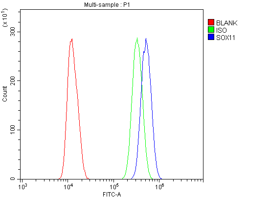 a02603 2 sox11 primary antibodies fcm testing 3