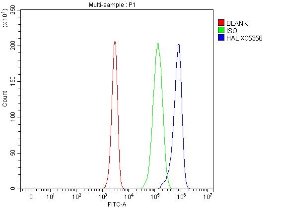 Flow Cytometry analysis of Jurkat cells using anti-HAL antibody (A02612-1)