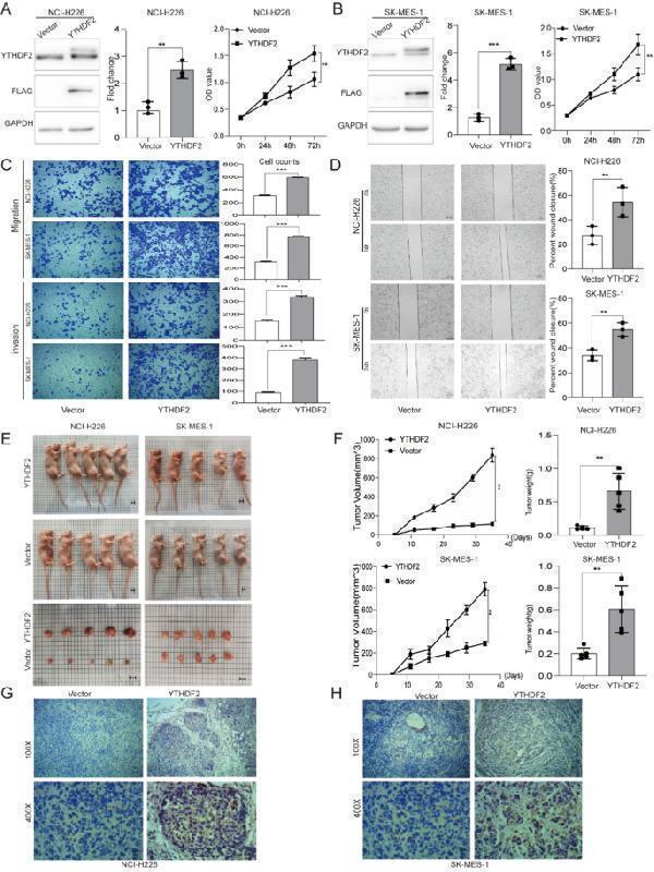a02621 1 12935_2021_2368_fig1_html