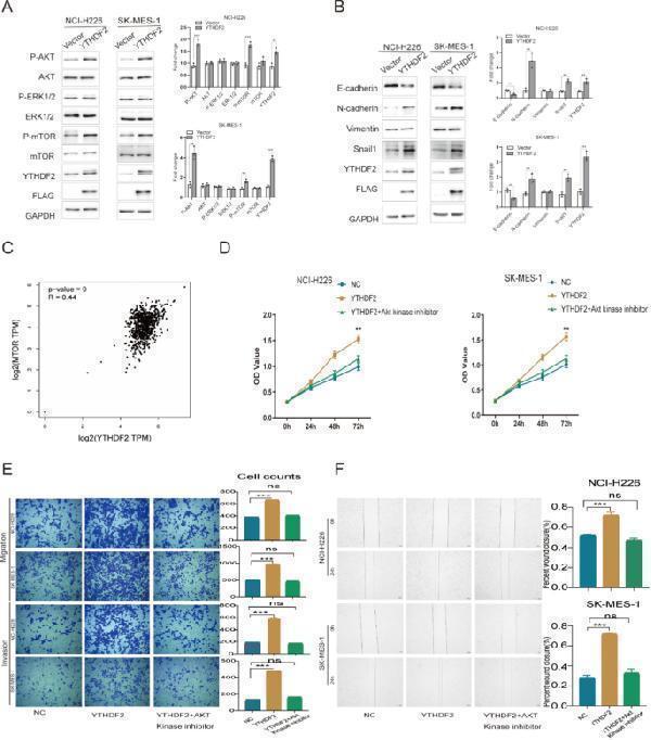 a02621 1 12935_2021_2368_fig2_html