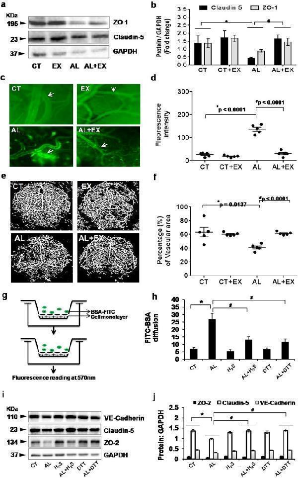 a02632 2 41598_2018_23568_fig6_html
