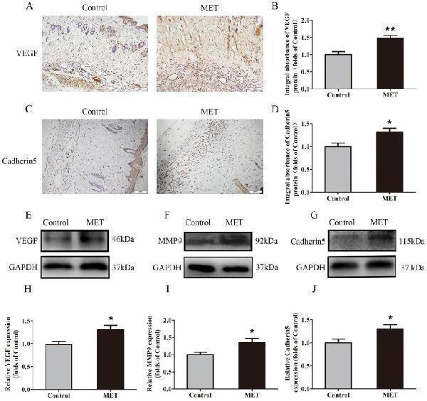 a02632 2 ijbsv15p0325g002