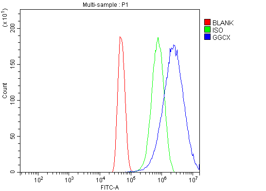 a02643 1 ggcx primary antibodies fcm testing 4