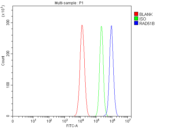 a02658 2 rad51b primary antibodies fcm testing 3