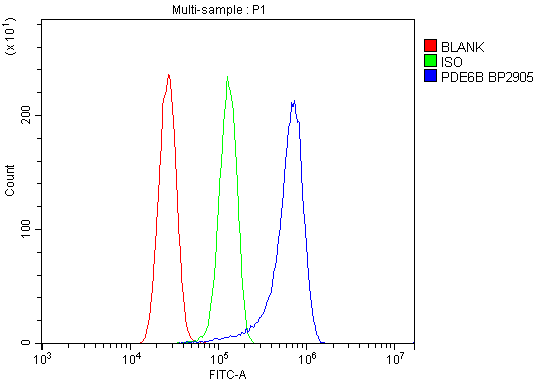 a02659 1 pde6b primary antibodies fcm testing 7