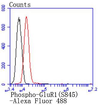 a02677s845 gria1 primary antiboties fcm testing 1
