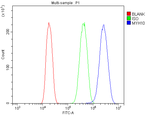 a02681 1 myh10 primary antibodies fcm testing 6