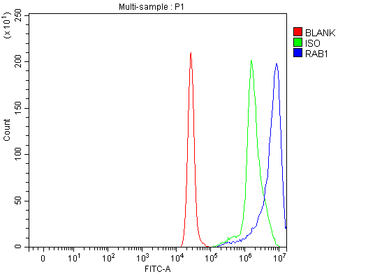  Flow Cytometry analysis of A549 cells using anti-RAB1A antibody (A02682-2)