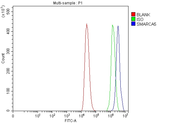 a02687 1 smarca5 primary antibodies fcm testing 13