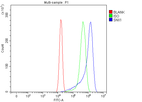 a02692 2 snx1 primary antibodies fcm testing 6