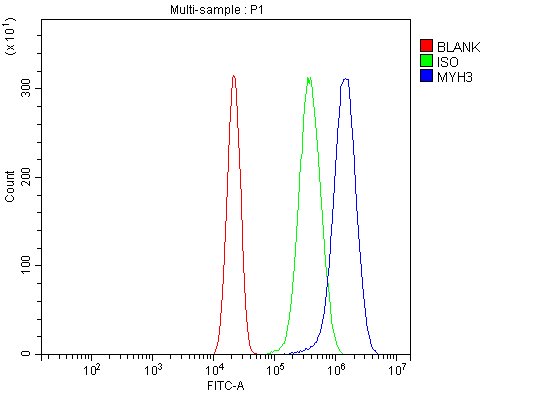 a02697 1 myh3 primary antibodies fcm testing 4