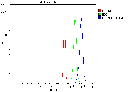 a02711 1 plxnb1 primary antibodies fcm testing 1