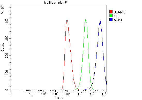 a02716 1 ank1 primary antibodies fcm testing 6
