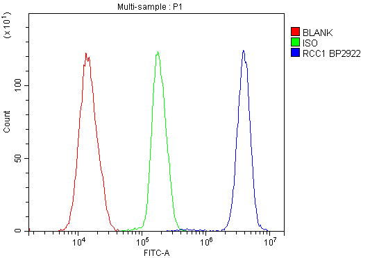 a02719 1 rcc1 primary antibodies fcm testing 10