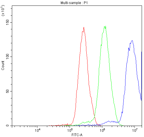 Flow Cytometry analysis of A431 cells using anti-NFAT4 antibody (A02727-2). Overlay histogram showing A431 cells stained with A02727-2 (Blue line).The cells were blocked with 10% normal goat serum. And then incubated with rabbit anti-NFAT4 Antibody (A02727-2,1μg/1x106 cells) for 30 min at 20°C. DyLight®488 conjugated goat anti-rabbit IgG (BA1127, 5-10μg/1x106 cells) was used as secondary antibody for 30 minutes at 20°C. Isotype control antibody (Green line) was rabbit IgG (1μg/1x106) used under the same conditions. Unlabelled sample (Red line) was also used as a control.