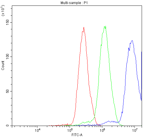  Flow Cytometry analysis of A431 cells using anti-NFAT4 antibody (A02727-2)
