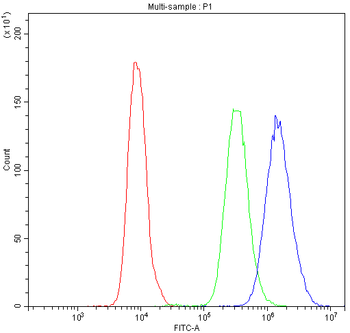 Flow Cytometry analysis of U20S cells using anti-NFAT4 antibody (A02727-2). Overlay histogram showing U20S cells stained with A02727-2 (Blue line).The cells were blocked with 10% normal goat serum. And then incubated with rabbit anti-NFAT4 Antibody (A02727-2,1μg/1x106 cells) for 30 min at 20°C. DyLight®488 conjugated goat anti-rabbit IgG (BA1127, 5-10μg/1x106 cells) was used as secondary antibody for 30 minutes at 20°C. Isotype control antibody (Green line) was rabbit IgG (1μg/1x106) used under the same conditions. Unlabelled sample (Red line) was also used as a control.