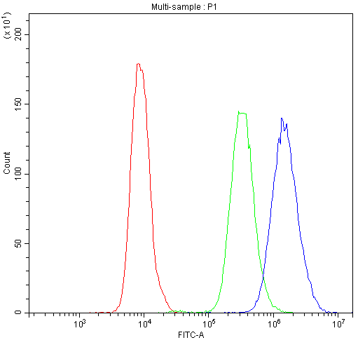  Flow Cytometry analysis of U20S cells using anti-NFAT4 antibody (A02727-2)