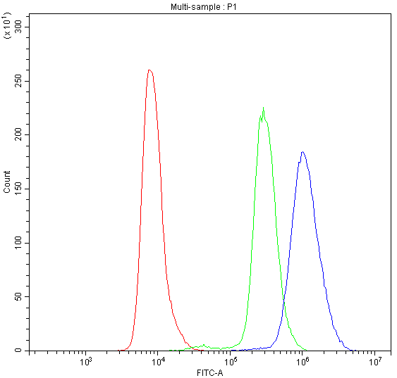 Flow Cytometry analysis of K562 cells using anti-NFAT4 antibody (A02727-2). Overlay histogram showing K562 cells stained with A02727-2 (Blue line).The cells were blocked with 10% normal goat serum. And then incubated with rabbit anti-NFAT4 Antibody (A02727-2,1μg/1x106 cells) for 30 min at 20°C. DyLight®488 conjugated goat anti-rabbit IgG (BA1127, 5-10μg/1x106 cells) was used as secondary antibody for 30 minutes at 20°C. Isotype control antibody (Green line) was rabbit IgG (1μg/1x106) used under the same conditions. Unlabelled sample (Red line) was also used as a control.