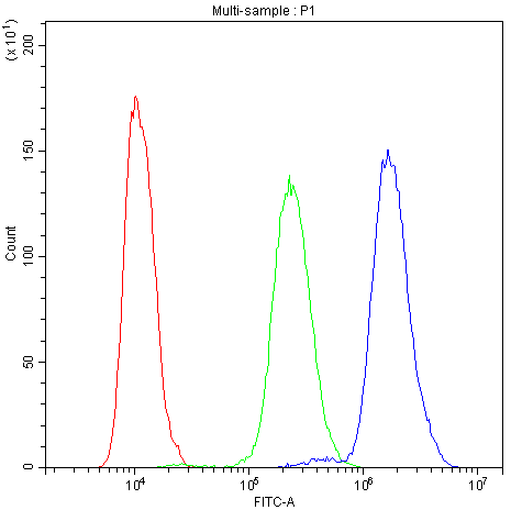 Flow Cytometry analysis of SiHa cells using anti-NFAT4 antibody (A02727-2). Overlay histogram showing SiHa cells stained with A02727-2 (Blue line).The cells were blocked with 10% normal goat serum. And then incubated with rabbit anti-NFAT4 Antibody (A02727-2,1μg/1x106 cells) for 30 min at 20°C. DyLight®488 conjugated goat anti-rabbit IgG (BA1127, 5-10μg/1x106 cells) was used as secondary antibody for 30 minutes at 20°C. Isotype control antibody (Green line) was rabbit IgG (1μg/1x106) used under the same conditions. Unlabelled sample (Red line) was also used as a control.