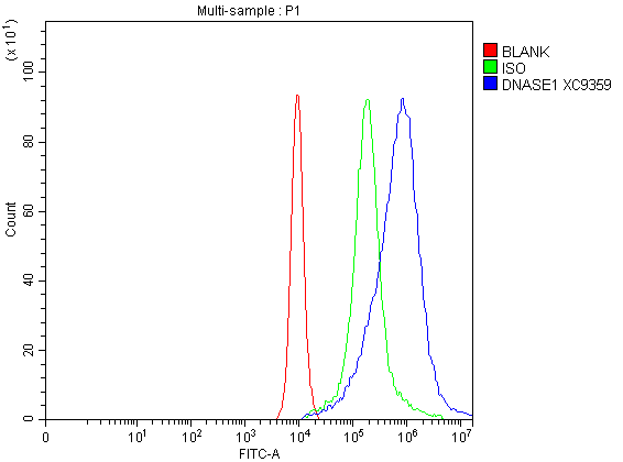 Flow Cytometry analysis of CACO-2 cells using anti-DNase I/DNASE1 antibody (A02728-1)