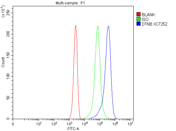 Flow Cytometry analysis of Jurkat cells using anti-DTNB antibody (A02729-2)