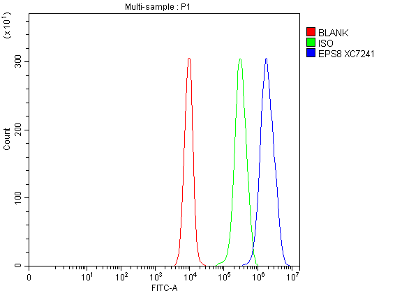 a02730 1 eps8 primary antibodies fcm testing 1