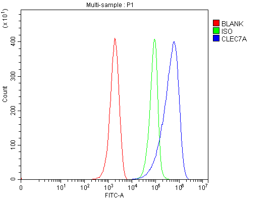 a02731 1 clec7a primary antibodies fcm testing 4
