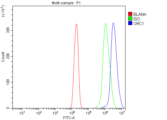  Flow Cytometry analysis of U20S cells using anti-ORC1 antibody (A02735-2)