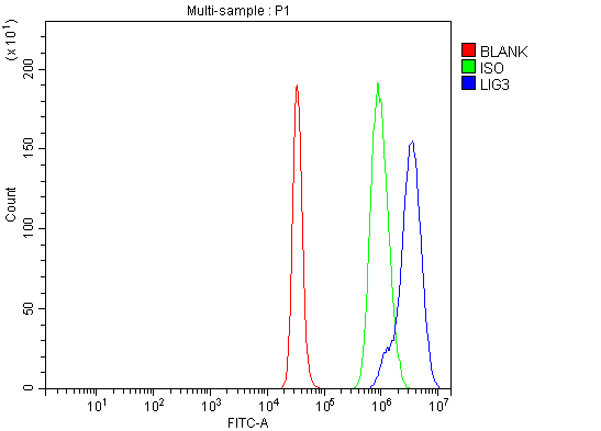 a02741 2 lig3 primary antibodies ihc testing 2