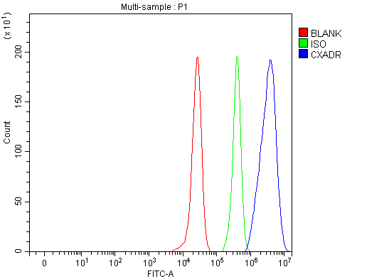 a02747 1 cxadr primary antibodies fcm testing 3