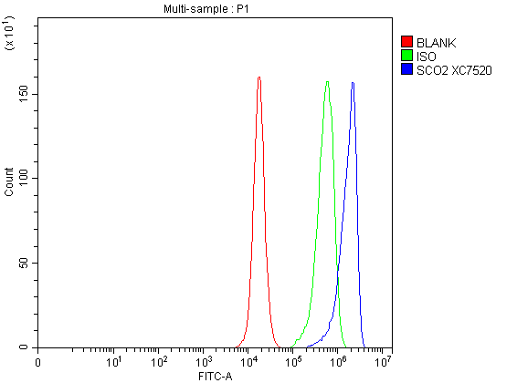 Flow Cytometry analysis of PC-3 cells using anti-SCO2 antibody (A02749-1)