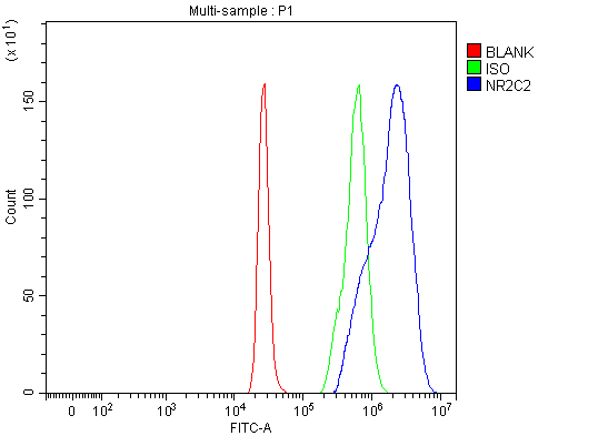 a02752 2 nr2c2 primary antibodies fcm testing 4