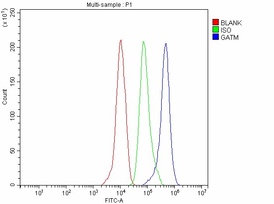 a02754 1 gatm primary antibodies fcm testing 5