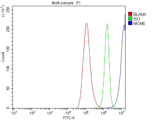a02755 1 mcm6 primary antibodies fcm testing 7