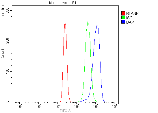 a02756 3 dap primary antibodies fcm testing 4