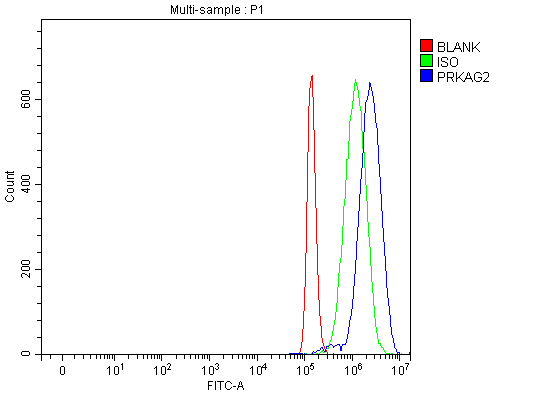  Flow Cytometry analysis of PC-3 cells using anti-PRKAG2 antibody (A02758-3)