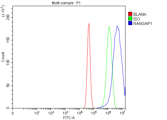 a02771 2 rangap1 primary antibodies fcm testing 5