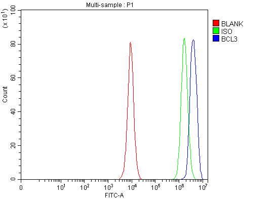  Flow Cytometry analysis of PC-3 cells using anti-BCL3 antibody (A02773-4)