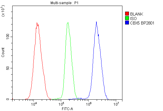 a02780 3 cbx5 primary antibodies fcm testing 8
