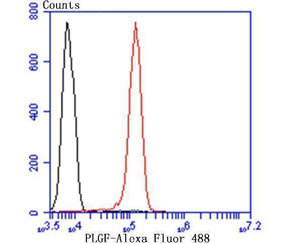 Flow cytometric analysis of Jurkat cells with Coilin antibody at 1/50 dilution (red) compared with an unlabelled control (cells without incubation with primary antibody; black)