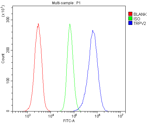  Flow Cytometry analysis of HL-60 cells using anti-VRL1/TRPV2 antibody (A02786-3)