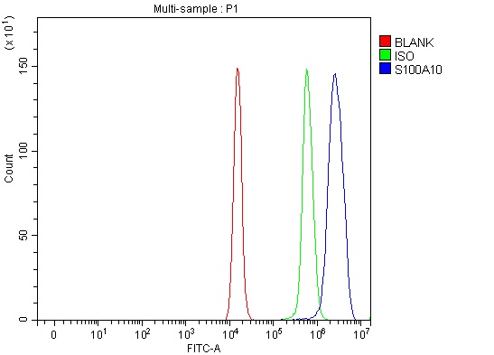 a02787 2 s100a10 primary antibodies fcm testing 1